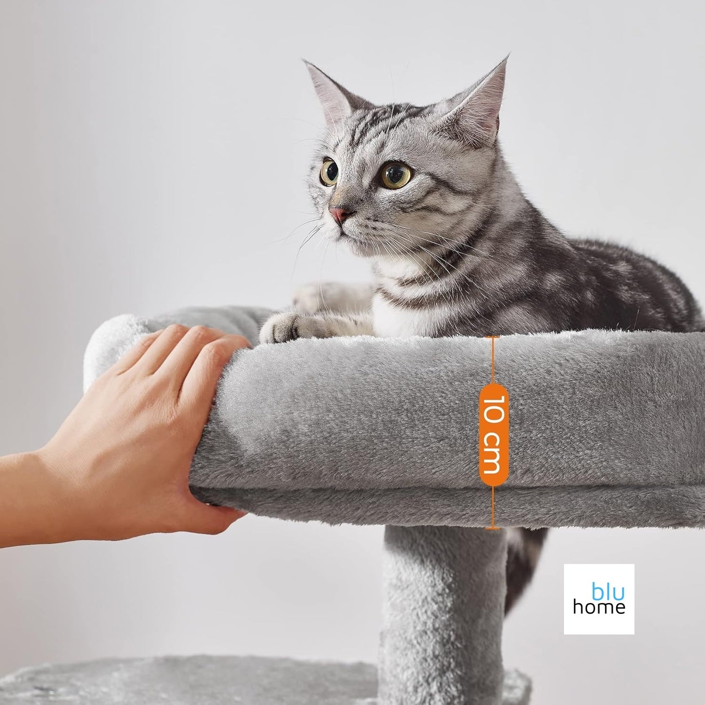 FEANDREA Küçük Kedi Ağacı Tırmalama Direği Çok Katlı 68 cm, Açık Gri